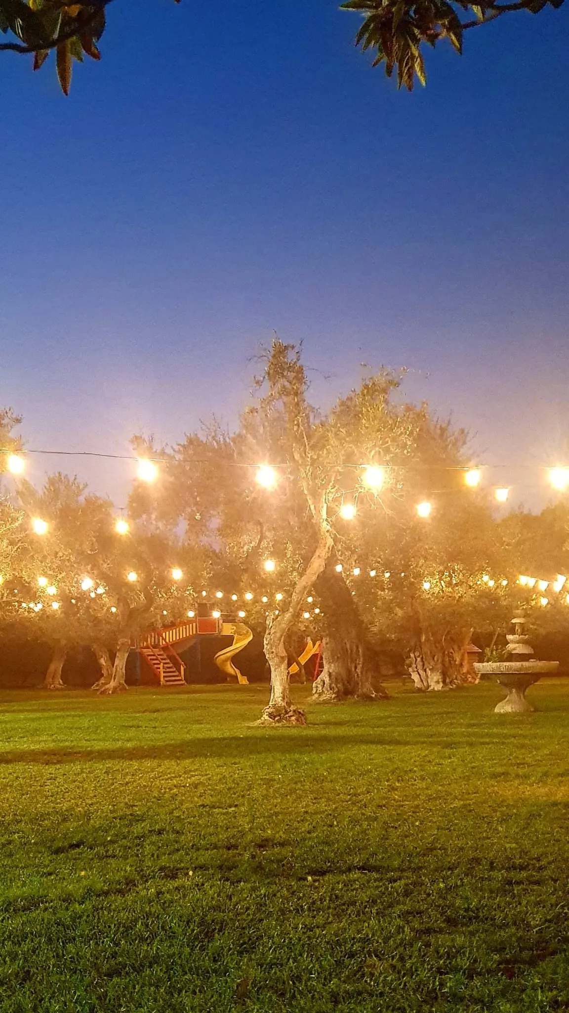 Giardino degli ulivi con illuminazione serale