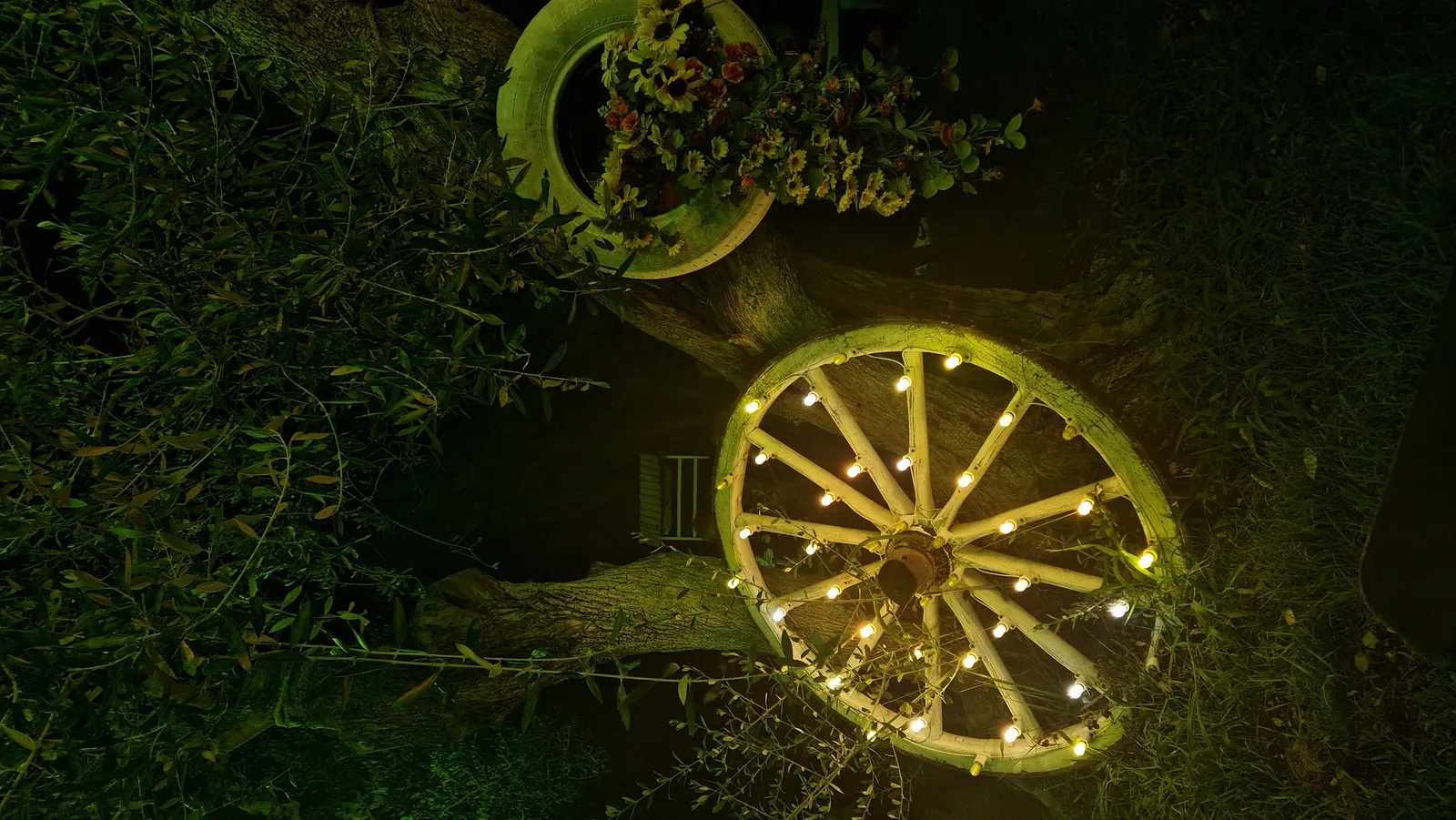 Giardino degli ulivi con illuminazione serale