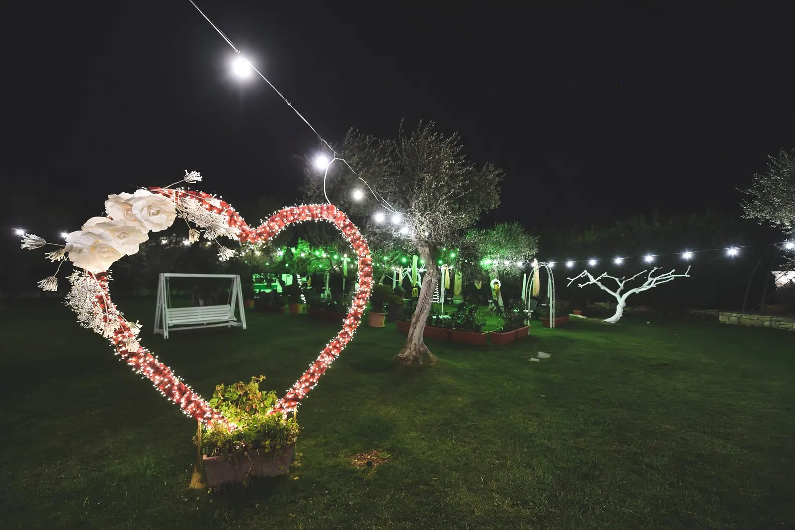 Giardino degli ulivi con illuminazione serale per un evento