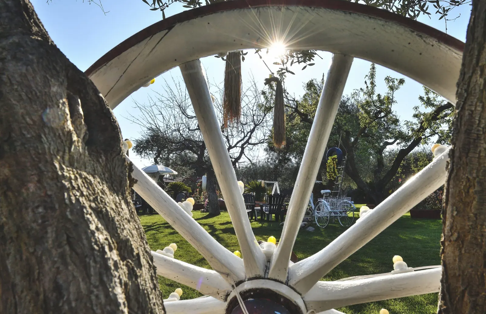 Giardino degli ulivi